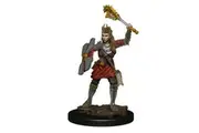 Dungeons and Dragons Premium Female Human Cleric Pre-Painted Figure