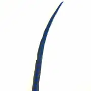 50" to 55" Reeves Pheasant Tail Feather - Royal