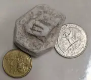 RARE TRILOBITE FOSSIL From PERU (#U345)