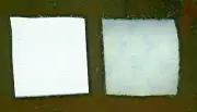 5' x 2" Strip of Strong Hook and Loop Self Adhesive Sticky Back White B4-23