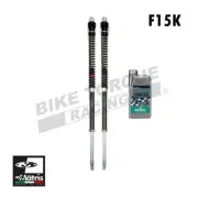 Matris F15K Fork Cartridge Kit to fit Honda CB500 X 2019-2021