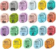 Wonder Wafers Car Air Freshener Wafers Variety Pack of 48 - Individually Wrapped Car Air Fresheners - 24 Scents Car Fresheners (48 Pack 24 Scents)