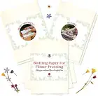 Blotting Paper for Flower Press by ® • Large A4 Flower Press Paper • Highly Abso