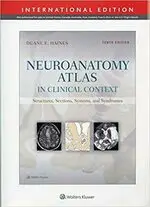 在飛比找樂天市場購物網優惠-Neuroanatomy Atlas in Clinical