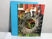 AVANTI FATHER’S DAY CARD New with Envelope “Take it easy you’ve earned it”