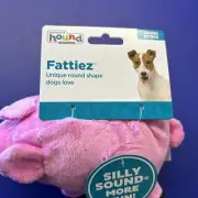 Outward Hound Fattiez Sound Biters 10/3
