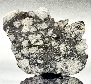 NWA 15658 (58.36g) Meteorite Polished End Cut Eucrite Melt Breccia IMCA Sellers
