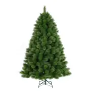 Montgomery Pine 240cm (8’) 846 Tips Christmas Tree