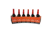 Pack of SWAN Ignition Coils & NGK Spark Plugs for Subaru Tribeca EZ30R (3.0L)
