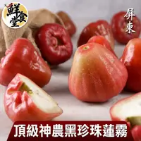 在飛比找蝦皮商城優惠-屏東頂級神農黑珍珠蓮霧1/2/4箱(3斤/13~16顆裝/箱