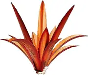 DIY Agave Metal Plants Art Tequila Rustic Garden Sculpture Statue Outdoor Decor Yard Tequila Art Sculpture Decorations