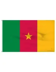 Cameroon 2' x 3' Indoor Polyester Flag