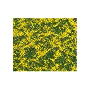 Faller Landscape Segment Rape Field
