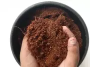 COCO PEAT | COIR DUST | 100% NATURAL ORGANIC COMPOST | 100g-800g Packets