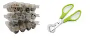 100 Quail Egg cartons for posting free scissors