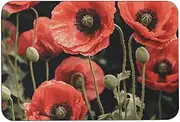 LMHLDSC Diatom Mud Bath Mats Non Slip Bathroom Rugs Quick Dry Absorbent Bathroom Mats Red Poppy Flowers Leaves Bathroom Shower Floor Mat for Bath Bedroom