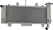 Aluminum Radiator Compatible For 2017-2022 Kawasaki Ninja 650 ABS Z650 ER650 2017 2018 2019 2020 2021 2022