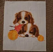 Cavalier King Charles Cocker Spaniel Crosstitching