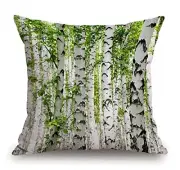 Throw Pillow Case Birch Trees Cotton Linen Square Cushion Cover Standard Tss90