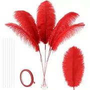 Soarer Red Ostrich Feathers for Vase - 10Pcs Making Kit 34inch Extra Large Os