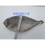 園海鮮之家【冷凍花鯧魚 尺寸400/500整箱下單處】