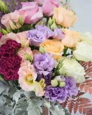 Valencia (Sizes: Extra Large, City: Brisbane)