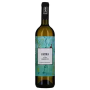 2023 Vigneti Vallorani Avora Falerio DOC - Buy Online | The Wine Collective Marketplace