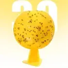 1xSticky Fruit Fly Traps Ball Fungus Gnat Killer Trap For Indoor-Outdoor L8G2