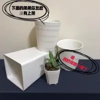 在飛比找蝦皮購物優惠-現貨【滿額免運】花盆 塑膠盆 多肉 盆器 紋路 仿陶 五吋 