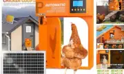 Automatic Chicken Coop Door Opener, Pivot Door with Timer&Light Sensor, Orange