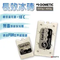 在飛比找PChome24h購物優惠-【DOMETIC】長效冰磚 220g