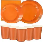 Kisangel 1 Set Plates and Cups Dinner Plates Paper Cups Napkins Party Supplies for Easy Cleanup and Festive Celebrations