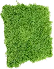 Realistic Artificial Moss Fake Moss Pad Artificial Turf for Bonsai Potted Plant Yard Decor Micro Landscape