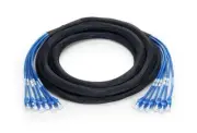 7m (23ft) 6 Plug to 6 Plug Cat5e Unshielded (UTP) PVC CMR Copper Trunk Cable