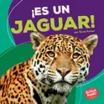 ES UN JAGUAR / IT’S A JAGUAR