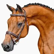 Bello-Equine Fancy Stitch Havana Brown Bridle with Removeable Flash