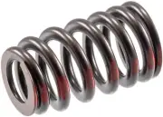 Valve Spring Melling VS2254