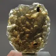 70.5ct FLAWLESS Tektite var. Colombianite / Colombia / Meteorite Impact Specimen