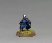 Armoured Pippin Pro Painted Lotr lord of the rings Gondor Rohan