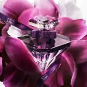 Lancome LA NUIT TRESOR LE PARFUM 50mL Women's Fragrance / Perfume BOXED NEW