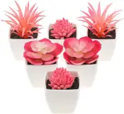 Woration 6Pcs Mini Artificial Succulent Plants Fake Plastic Décor 3