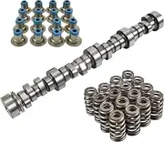 E1840P Sloppy Stgae 2 Camshaft Cam Springs Seals for 4.8 5.3 5.7 6.0L LS LS1 LS2 LQ4 LQ9 Engine