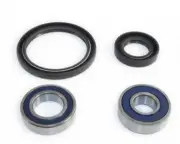 EPI Performance Wheel Bearing Kit | WE301150