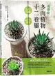 超療癒！多肉植物十二卷屬：212品種圖鑑X絕對不失敗植栽法