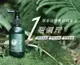 (全效型/去涼)【AROMASE艾瑪絲】草本強健養髮精華液115mL (解決稀/油/癢/屑4大困擾)