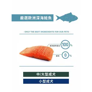 焙菲力 Bravery 西班牙 健康食糧 回歸原味 深海鮭魚 2KG 4KG 7KG 12KG 小型成犬 大型