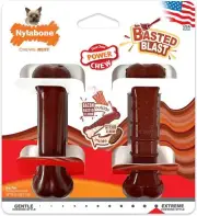 Nylabone Power Chew Bacon Flavor Outside and Steak Flavor Inside For X-Small Dog