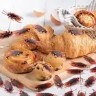 20Pcs PVC Fake Cockroach Rubber Scorpion Simulated Insects Cockroach Model Toy