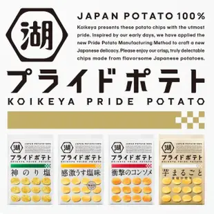 +東瀛go+(部分短效)湖池屋 PRIDE POTATO 洋芋片 橄欖/海苔鹽/檸檬/岩鹽/九州海苔 (8折)