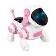 Remote Control Robot Dog Toy For Kids, Robot Dog Interactive & Smart Random